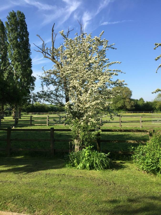 Upper Wood End Farm Bed & Breakfast Marston Moreteyne Bagian luar foto